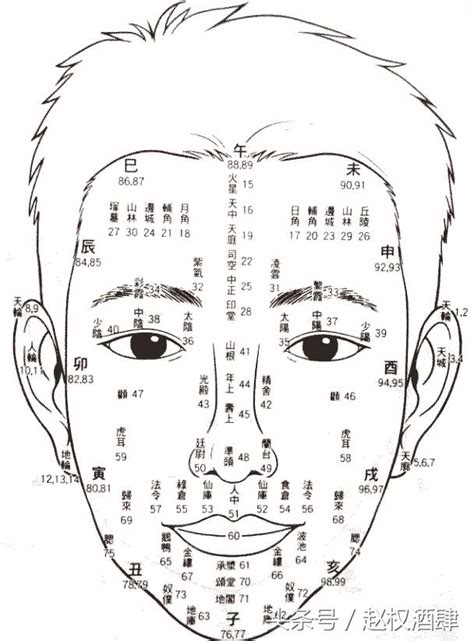 53歲面相|【面相年齡圖】暢視你的晚年：歲月在面相上的謎團，。